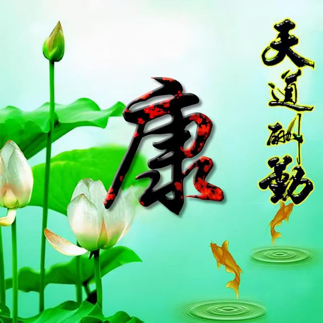 荷花头像图片大全，荷花头像高清图