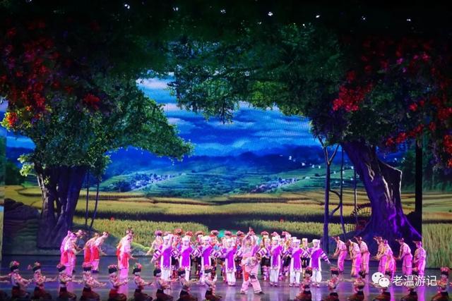 曼听公园游玩攻略，西双版纳曼听公园游览时间（“曼听御花园景区”游记）