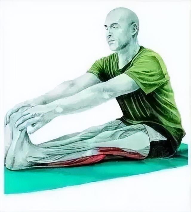 10分钟懒人拉伸训练动作，这6组33个拉伸动作绝了