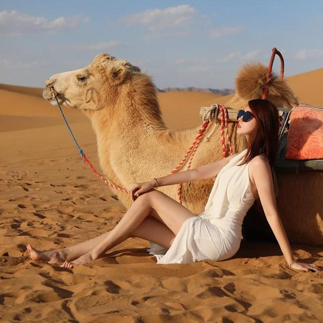 不受约束的沙漠之舟，字如其人——王献之《中秋帖》探析