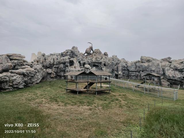 石家庄动物园攻略，石家庄动物园游玩自带饭攻略