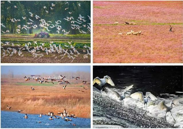 第21届安徽省摄影艺术展入选证书，“安徽·镜像——安徽省摄影作品展”在杭启幕