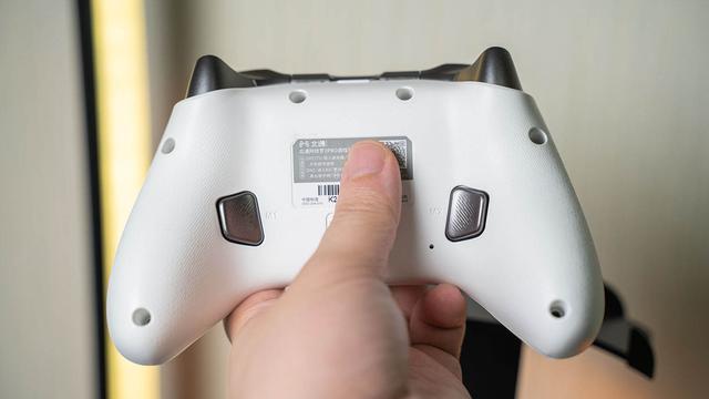 北通游戏手柄玩什么游戏厅好，这几款助你畅玩游戏 体验升级