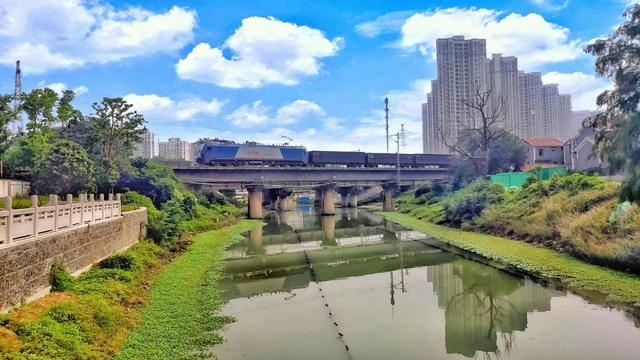 武汉白沙洲人工河，天气下雨鱼情好。坐标武汉市洪山区白沙洲青菱河