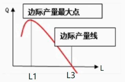 中级经济师生产函数和生产曲线，中级经济师《经济基础》-3.2生产函数和生产曲线