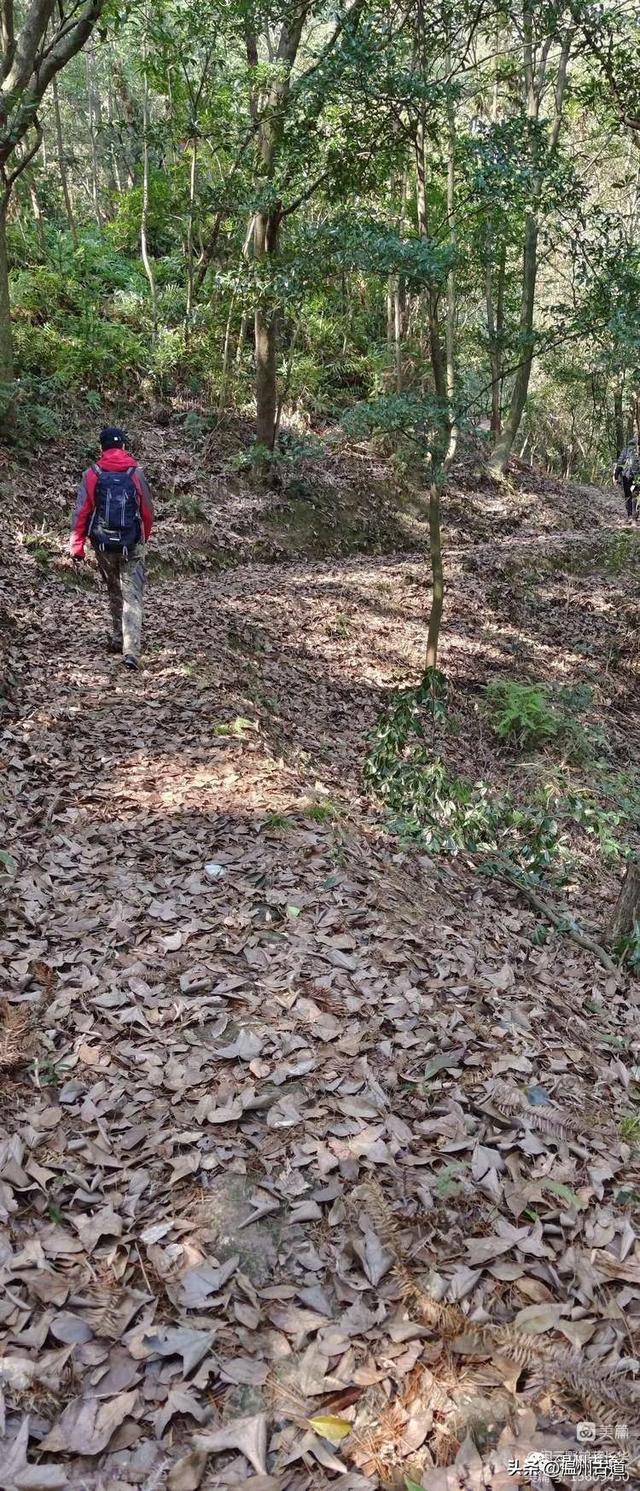 温州景点圣井山石殿，温州的历史古建筑有哪些？