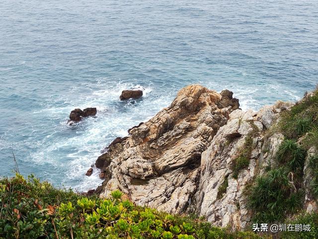 杨梅坑鹿嘴山庄，杨梅坑深圳旅游（鹿嘴山庄寻鹿攻略）