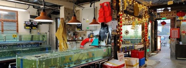 影像最好的手机对比，当计算摄影遇上影像大厂