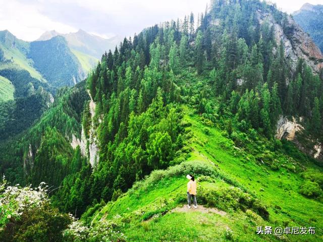 大峪沟旅游风景区介绍，最能治愈人心的便是这世间的绝美风景