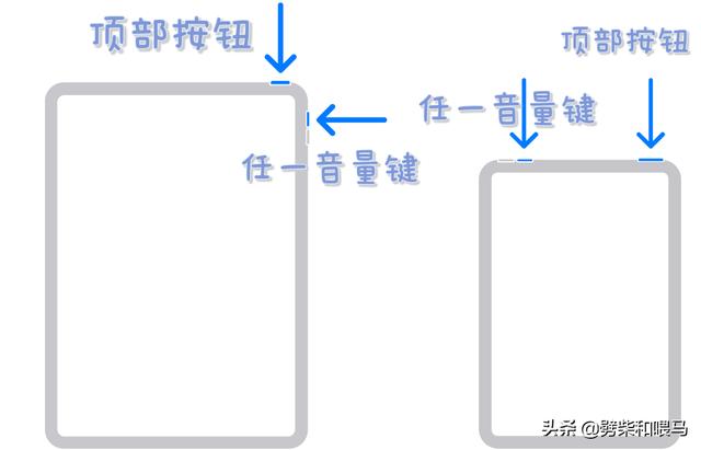 苹果七怎么截屏，苹果ipad第七代怎么截图（三大技巧教你苹果手机怎么截屏）