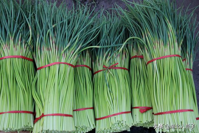 蒜薹的家常腌法，腌蒜薹只放盐不好吃