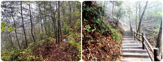 garmin手表，garmin手表说明什么