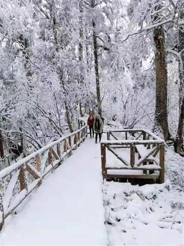 雅安旅游必去景点推荐，雅安这三条红色旅游精品线路值得一看