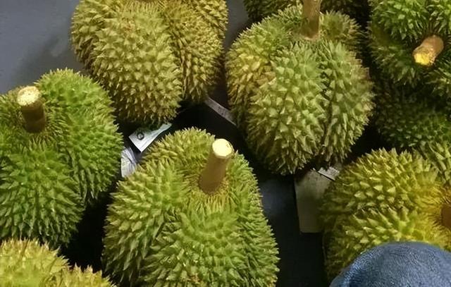 懂一只榴莲背后的故事，洪小鱼一颗榴莲的前世今生