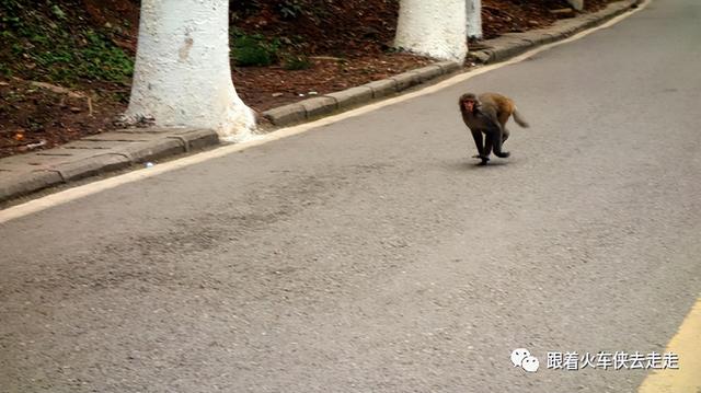 到张家界三日游，魅力湘西张家界三日游