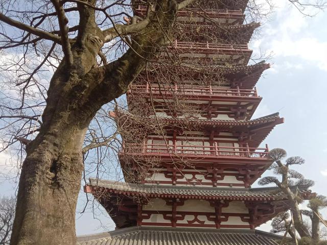 紫蓬山一日游攻略，紫蓬山五一游玩攻略（紫蓬山一日游）