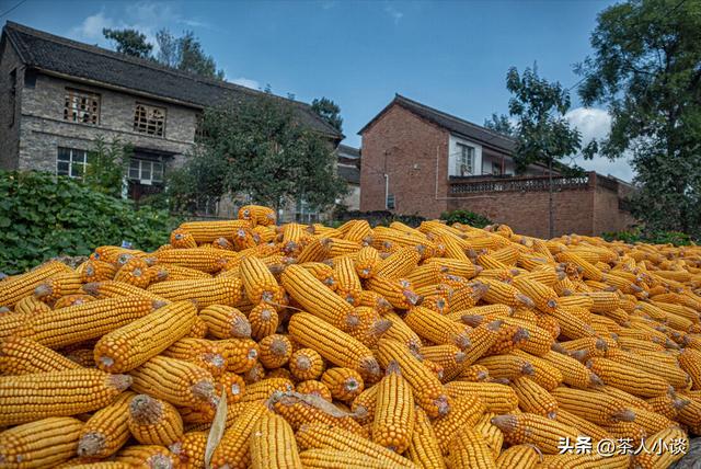 什么日子叫做三煞日，今日八月廿三老人说