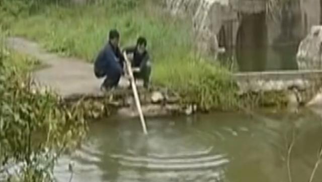 蛇洞，自然密码蛇洞之谜