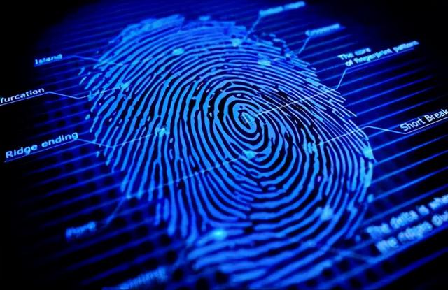 10个斗和10个簸箕，十个簸箕和十个斗的结合（通过指纹看个人性格）