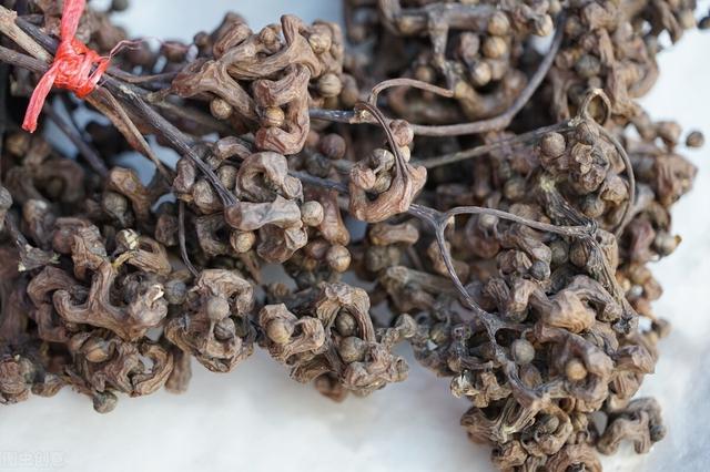 龙爪枣与拐枣一样吗，不一样的水果拐枣