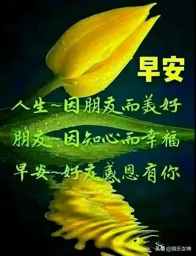 最真挚的祝福和问候早上好表情包，最新早上好表情包大全