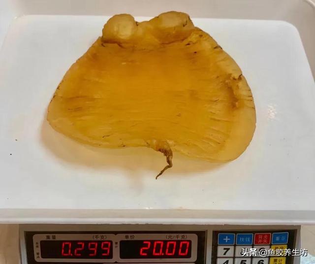 人工合成鱼胶图片，合成鱼胶怎么分辨