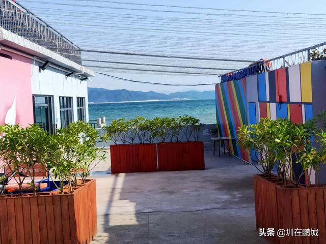 杨梅坑鹿嘴山庄，杨梅坑深圳旅游（鹿嘴山庄寻鹿攻略）