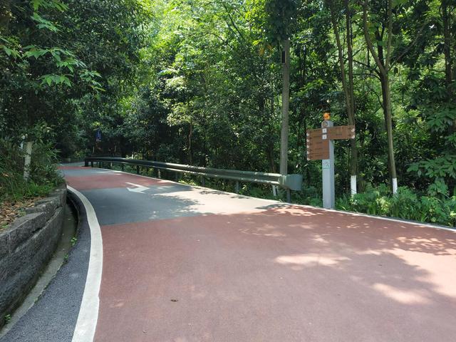 重庆短途摩旅推荐路线，重庆主城摩旅推荐之歌乐山森林公园