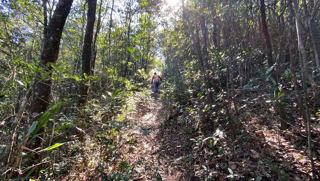 广州徒步登山经典路线，​黄埔秘境在这里