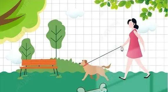 如果您决定养犬，新养犬条例