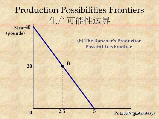 资源配置及优化，一场资源配置的最优化实验