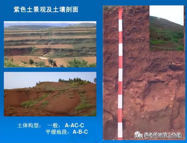 我国的土壤分类有哪些，中国15种主要土壤类型和具体分布地区
