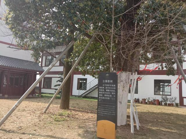 紫蓬山一日游攻略，紫蓬山五一游玩攻略（紫蓬山一日游）