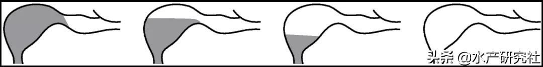 水产养殖关键技术，现代水产养殖主要有这7大模式类型和3大技术趋势