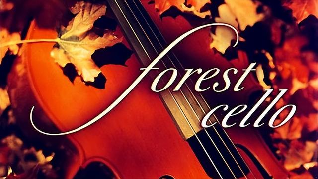 舒缓的背景纯音乐，美文纯背景音乐（温柔和缓的轻音乐送给你）