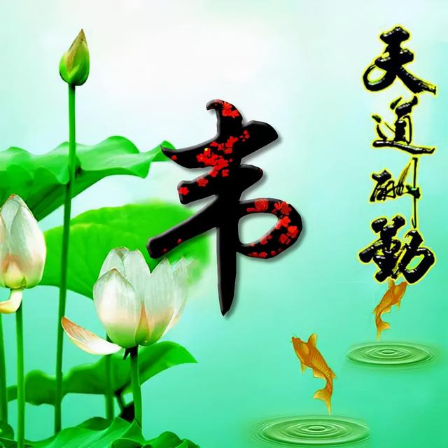 荷花头像图片大全，荷花头像高清图