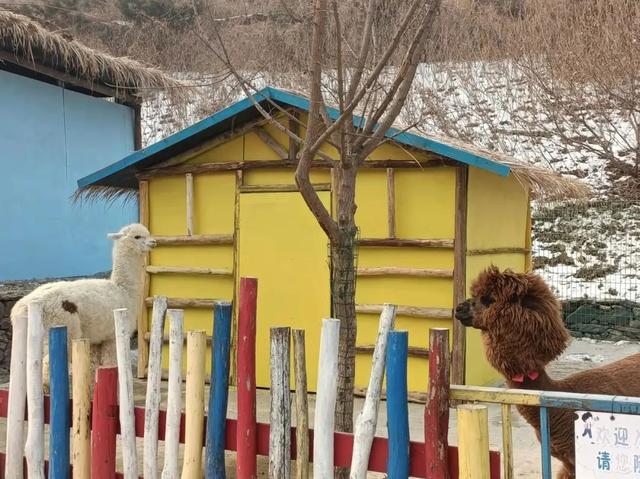 西部长青景点在哪里，风景好去处