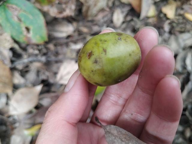 杭州爬山徒步最佳路线轨迹，杭州人的后花园