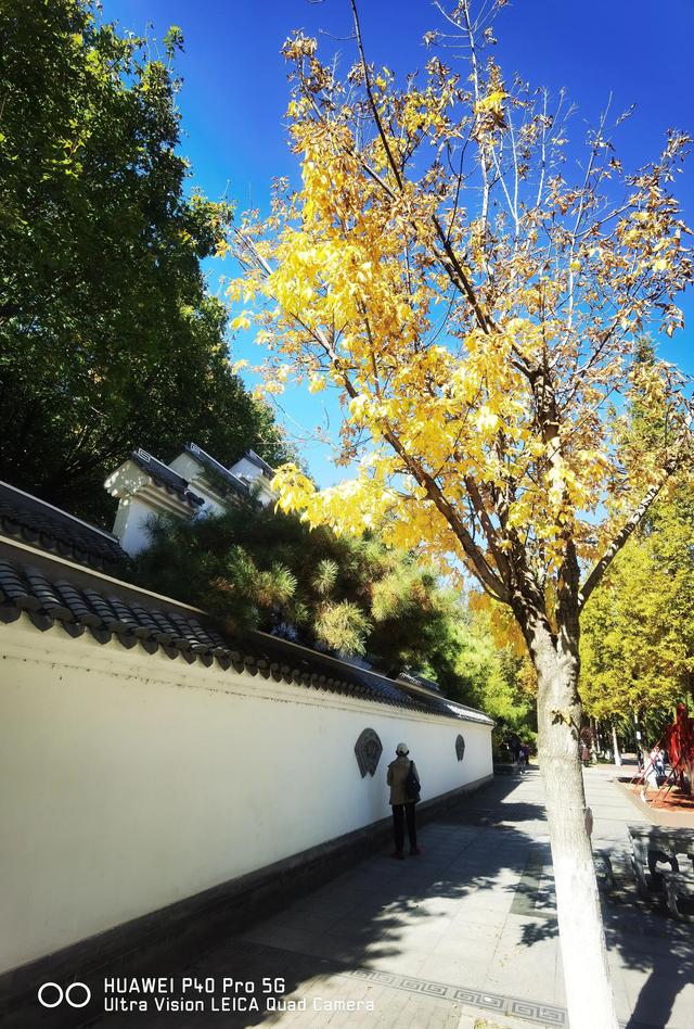 北宫国家森林公园景点介绍，北宫国家森林公园游记