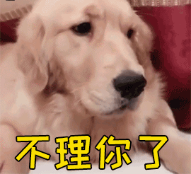 狗狗最有灵性的表现，狗狗聪明有灵性的表现（狗狗越是聪明）