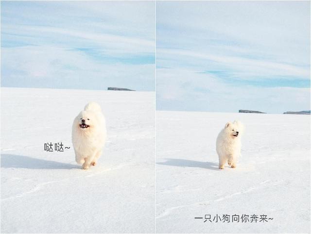 拼贴，拼贴教程简单好看