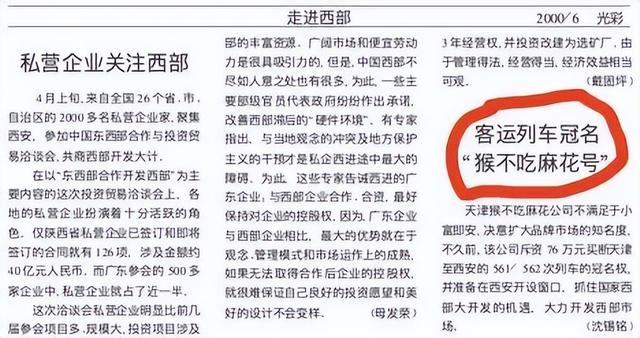 小猫名字接地气，见到天津猫不闻