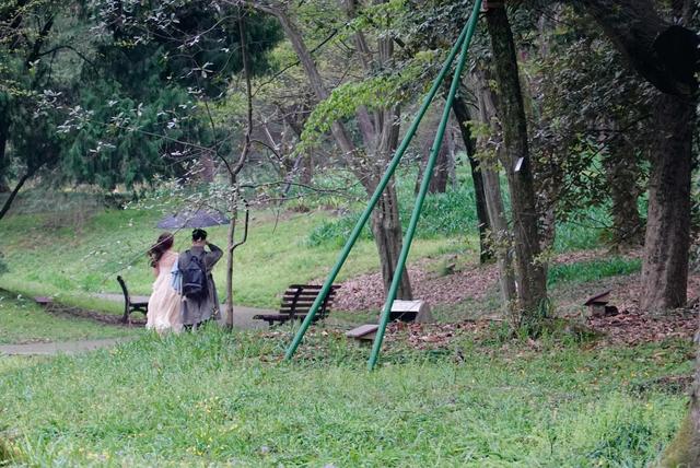 杭州西湖之白堤，“白堤”名出白居易