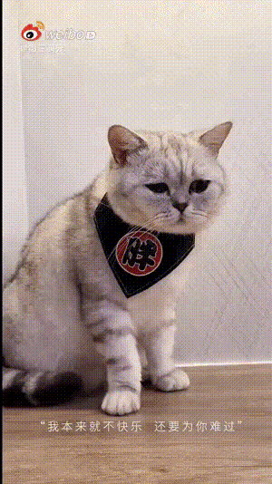 贾乃亮深夜发文挂微博，贾乃亮否认复合传闻