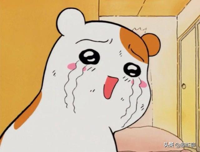 今年最棒泡面番，9部治愈泡面美食番，拯救剧荒