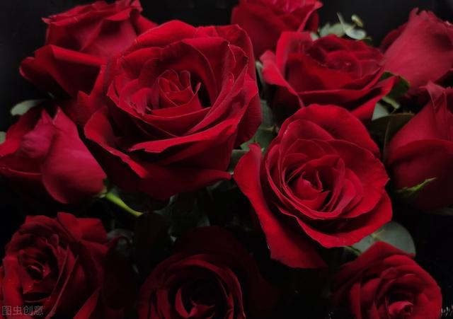 简单的花语文案，关于花的文案“做个浪漫人”