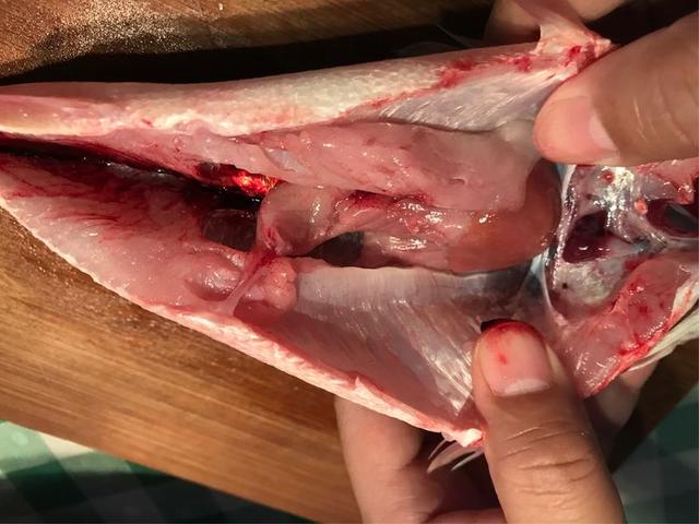 鱼的内脏解剖图，龙鱼内脏解剖图解（通体熟透、内脏掏空）