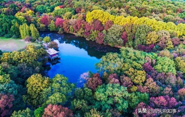 南京打卡景点小众，安利30处南京小众打卡地