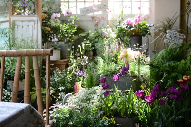 法式花园如何欣赏，海妈花园访问阳台花园满分案例