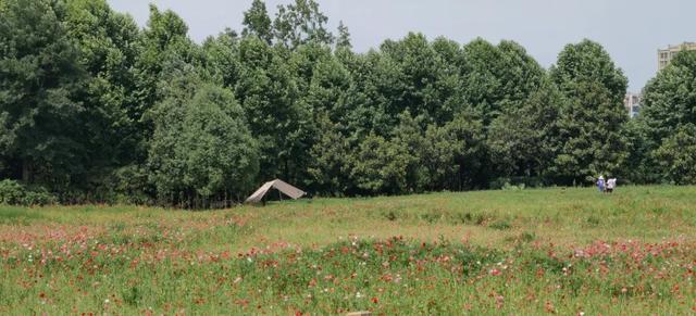 9月成都周边最适合露营，不出成都市区打卡9大露营野餐拍照地